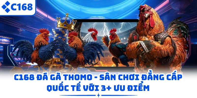 C168 Đá Gà Thomo - Sân Chơi Đẳng Cấp Quốc Tế Với 3+ Ưu Điểm