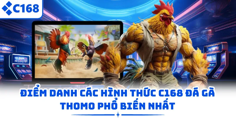 Điểm danh các hình thức C168 đá gà Thomo phổ biến nhất