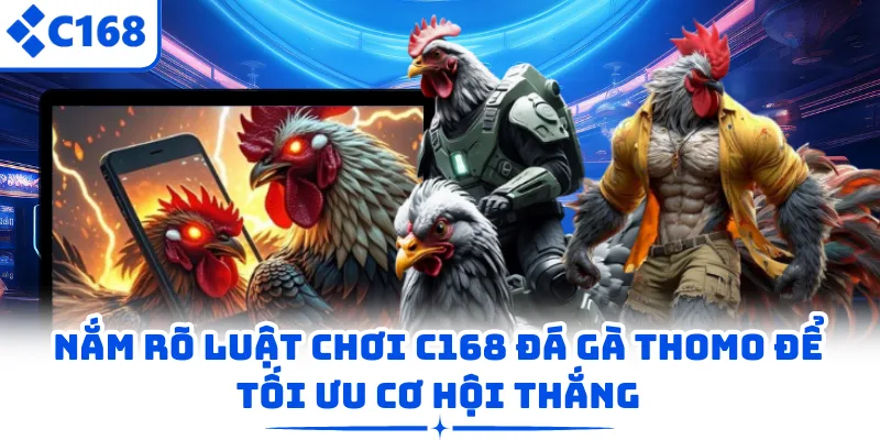 Nắm rõ luật chơi C168 đá gà Thomo để tối ưu cơ hội thắng